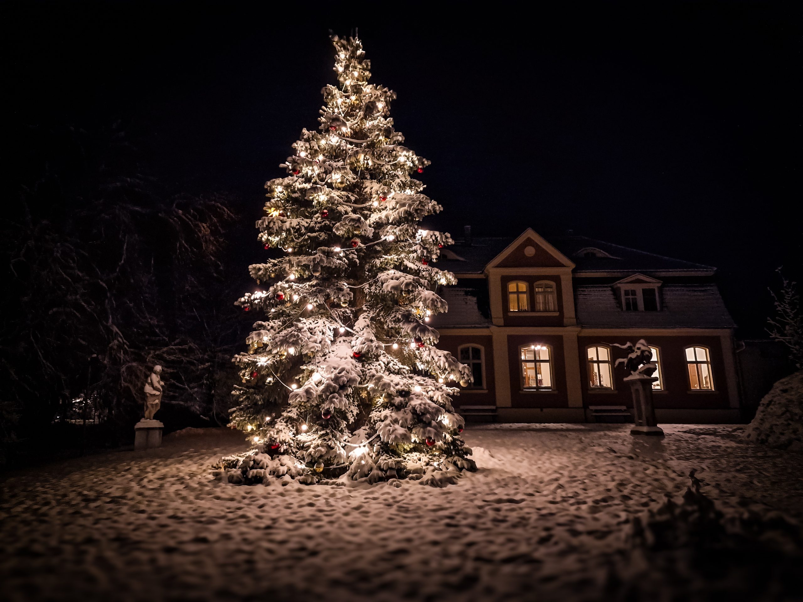 20231128_172444 Blütenexpress