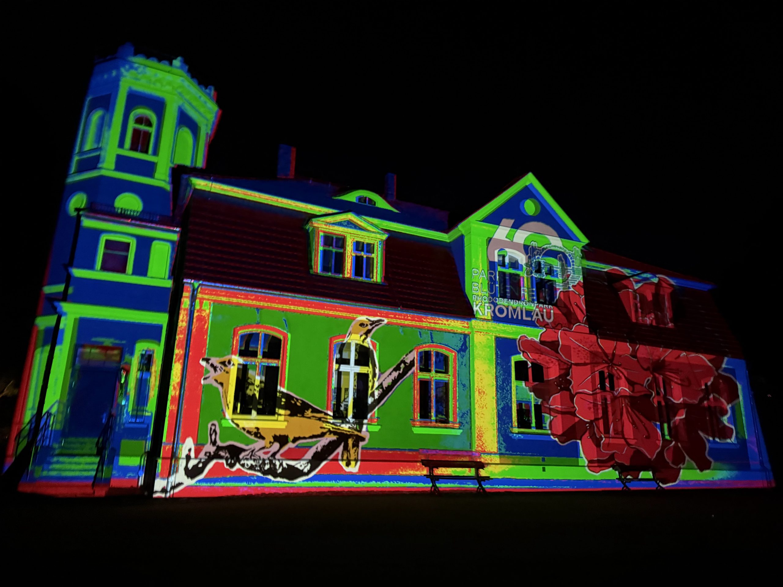 Rakotz Illumination 2023